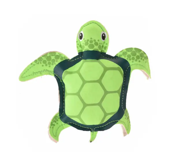 [5902786291304]TURTLE-DIVE-green_turtle001