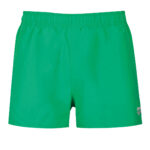 Arena men's shorts green