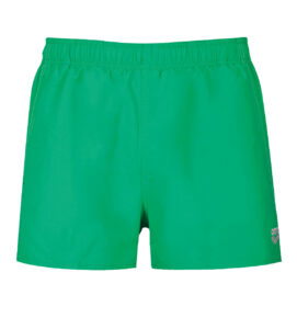Arena men's shorts green