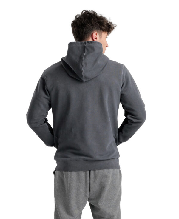 005596-511-ARENA ICONS HOODIE SWEAT-002-O.jpg